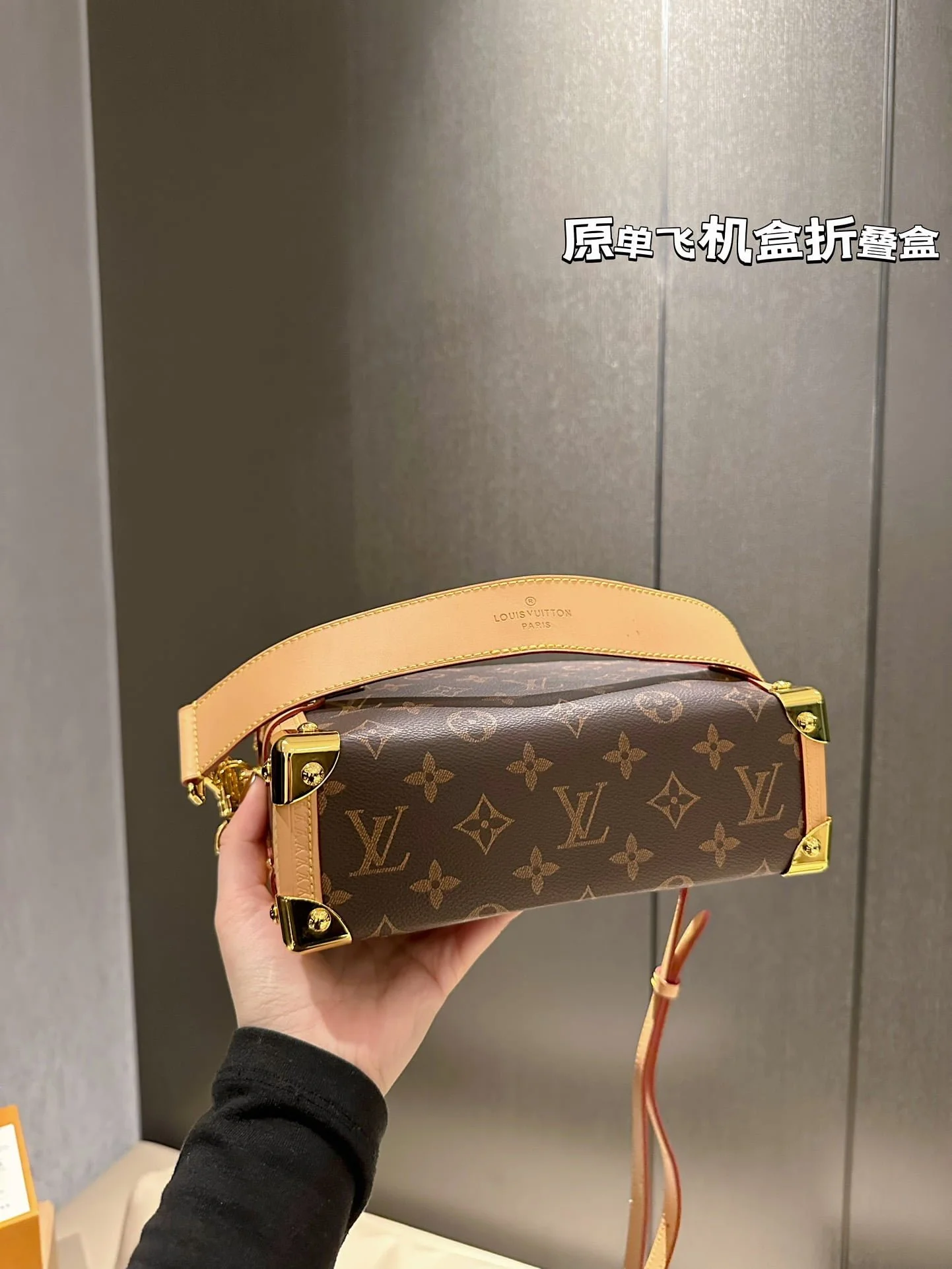 Louis Vuitton / LV Side trunk size: 23*16cm - LITELUX