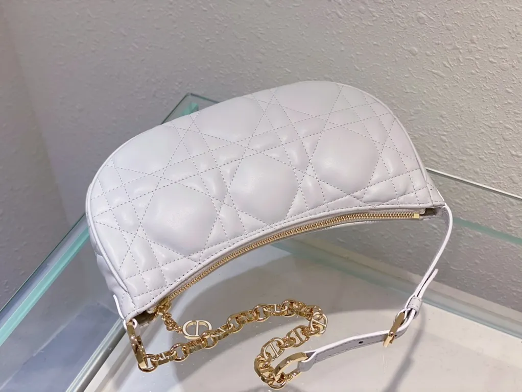 Dior bag - LITELUX