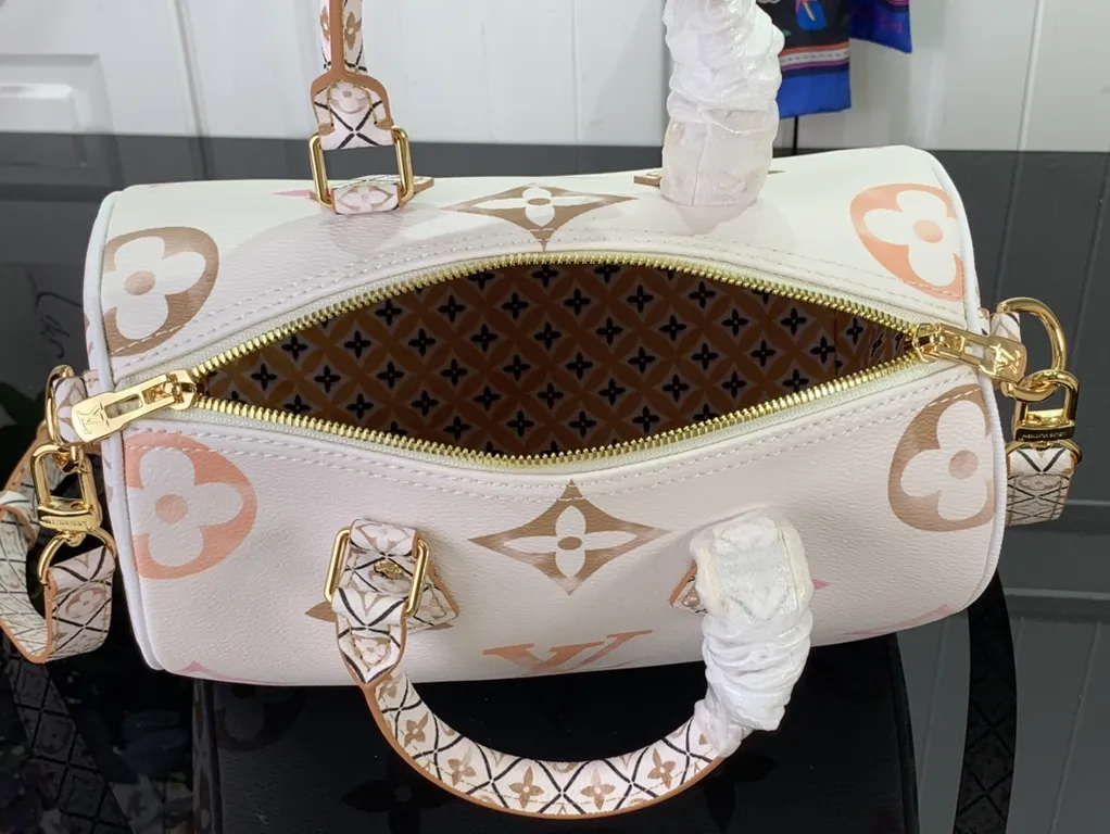 Louis Vuitton bag - LITELUX