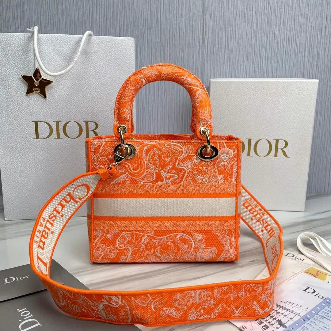 Dior bag - LITELUX