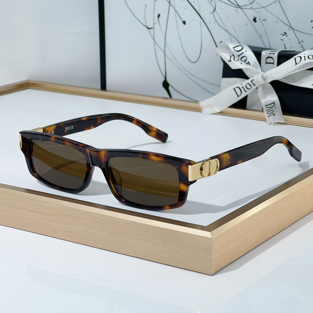 Dior Mirror leg CD Logo Acetate Fibre sunglasses Top quality () - LITELUX