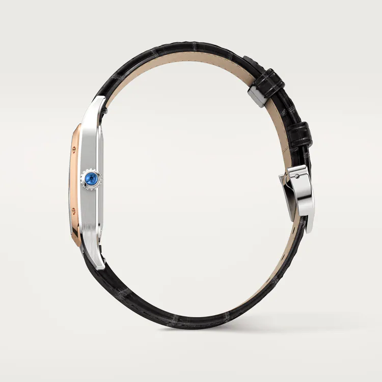 SANTOS-DUMONT Rose Gold MIx 43.5mm - LITELUX