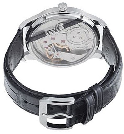 IW545407 IWC Portuguese - LITELUX