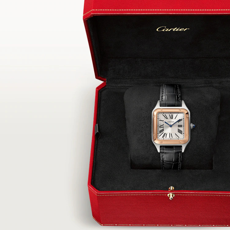 SANTOS-DUMONT Rose Gold MIx 43.5mm - LITELUX