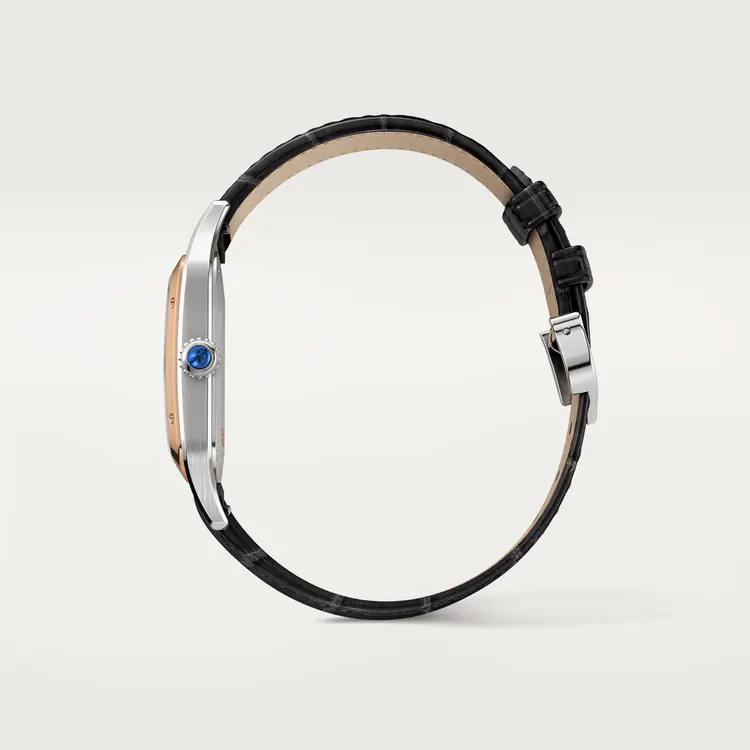 SANTOS-DUMONT RoseGoldMix 43.5mm - LITELUX