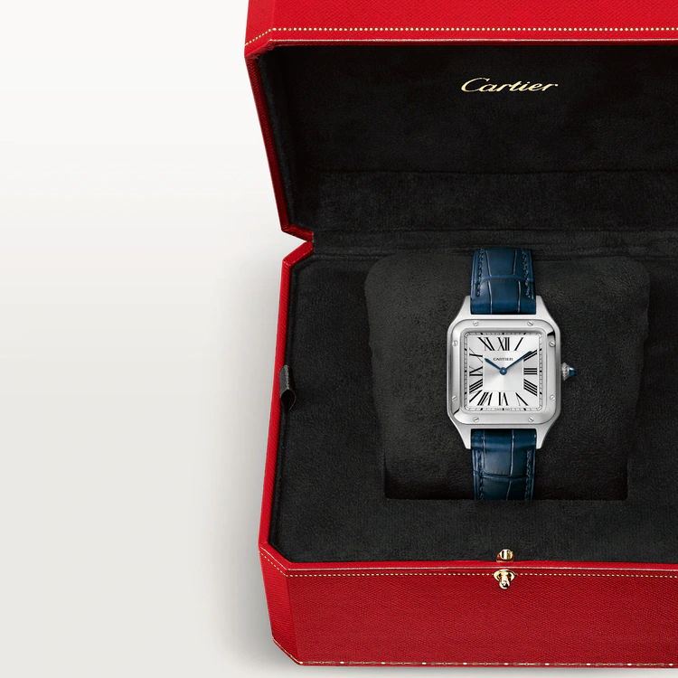 SANTOS-DUMONT Blue Strap 38mm - LITELUX