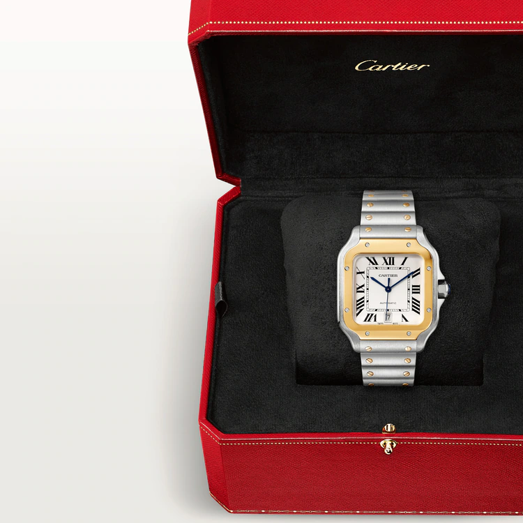 SANTOS Gold Mix 39mm - LITELUX