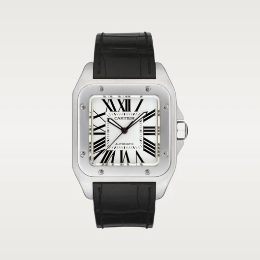 SANTOS 100 Silver Gray 38mm - LITELUX