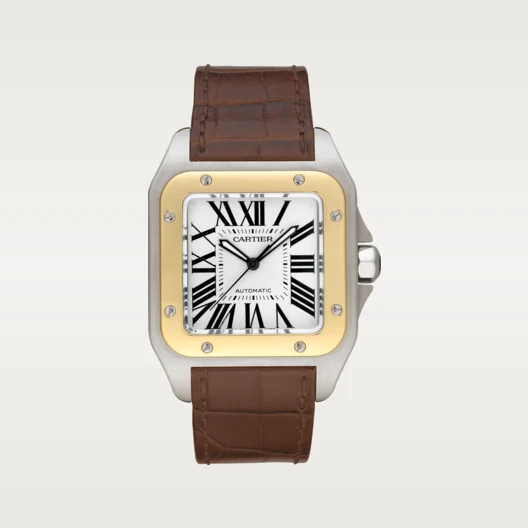 SANTOS 100 WATCH 38mm - LITELUX
