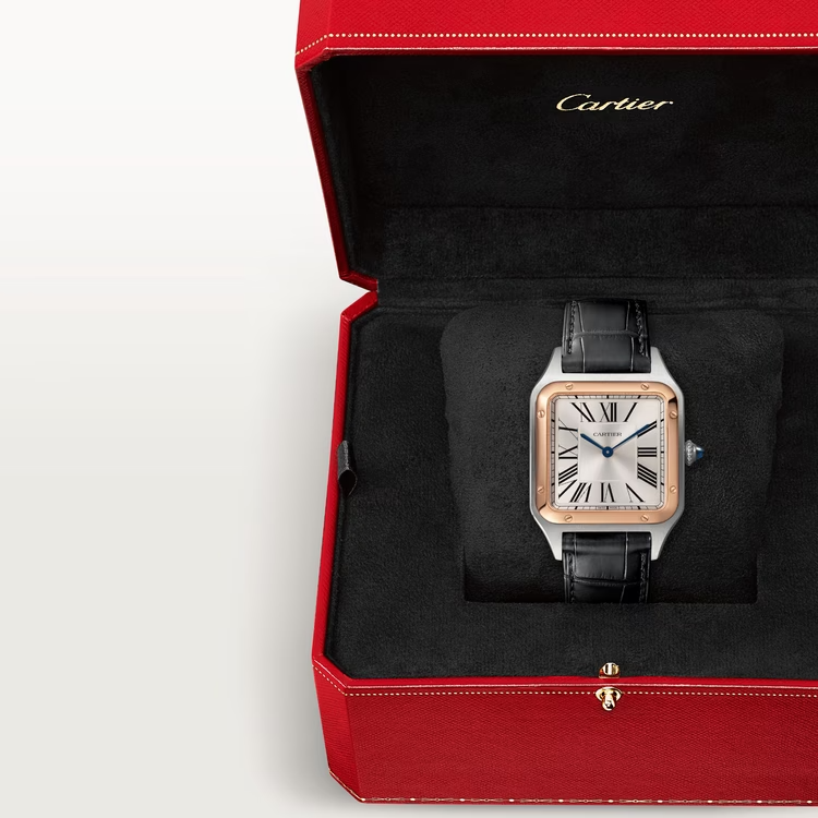 SANTOS-DUMONT Rose Gold Mix 46mm - LITELUX