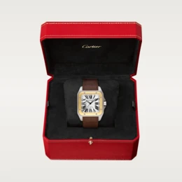 SANTOS 100 WATCH 38mm - LITELUX