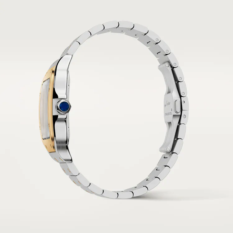 SANTOS Gold Mix 39mm - LITELUX