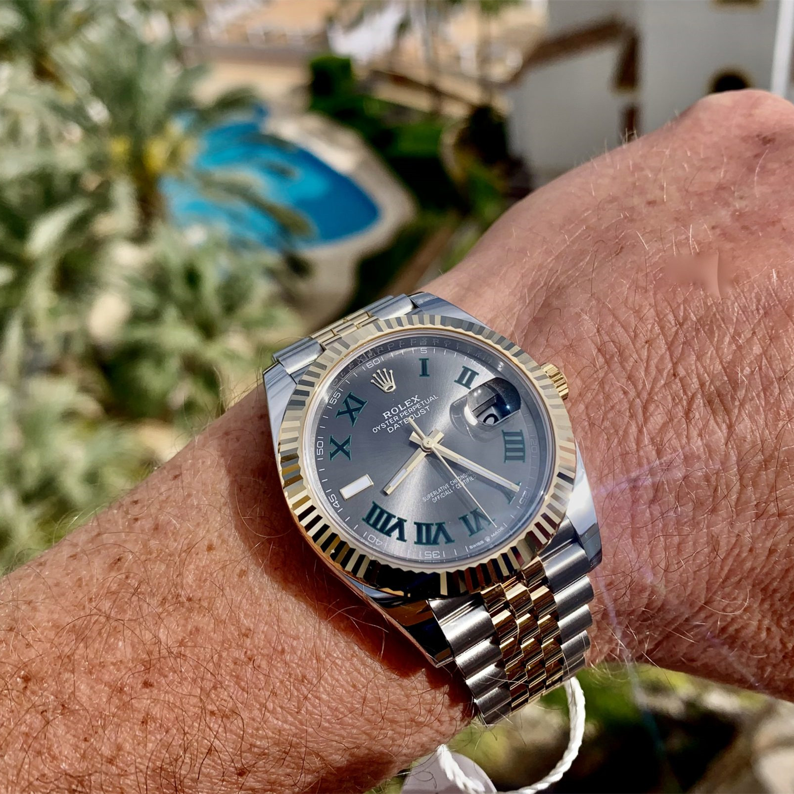 Rolex Datejust 41 Oystersteel and yellow gold Wimbledon - M126333-0020/126333-0019 Brand Unworn - LITELUX