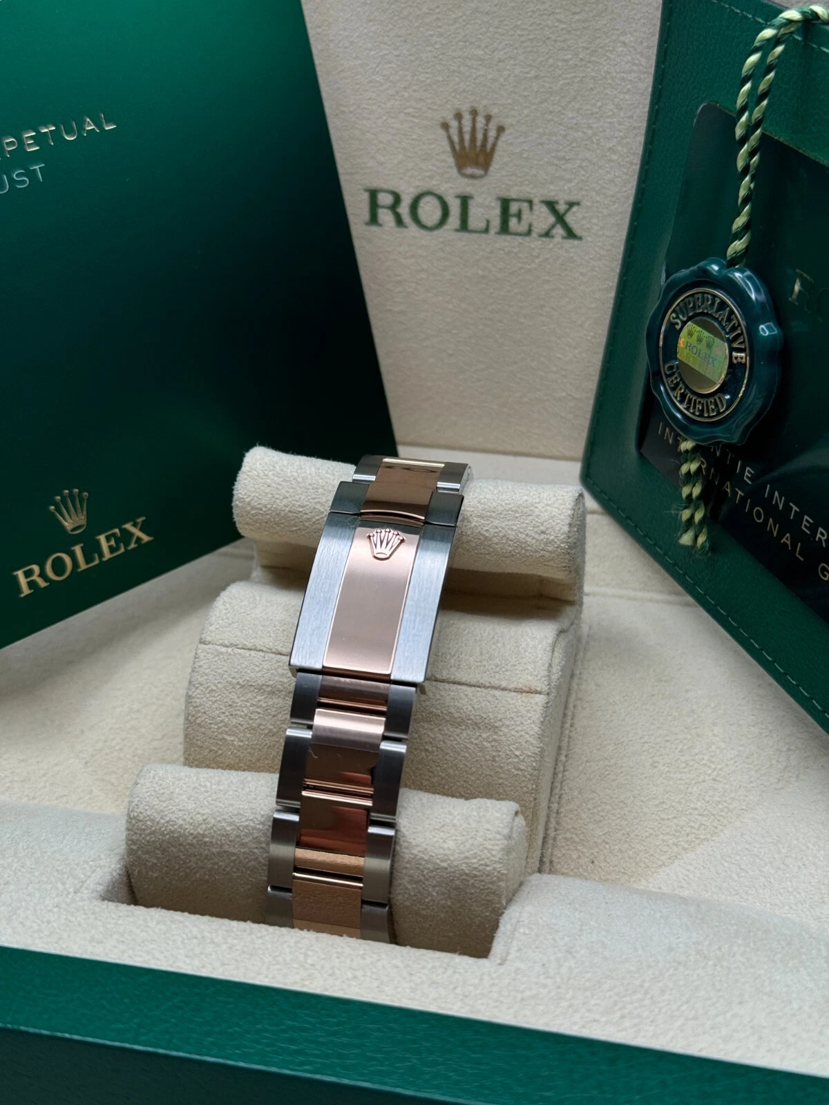 RLX Datejust 41mm 126331 Sundust Index Oyster Steel and Everose Gold Watch - LITELUX