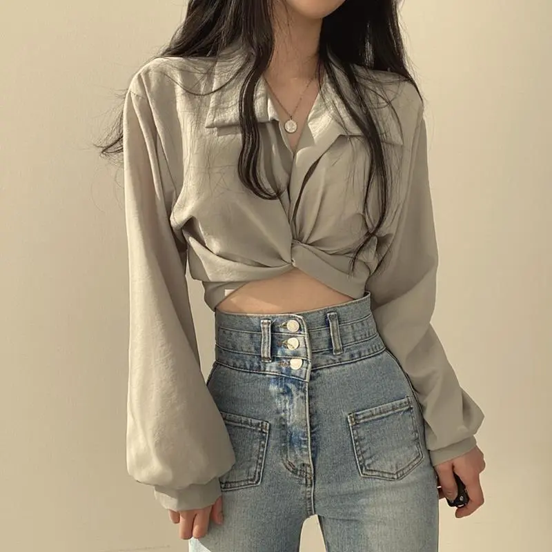jpyuyuco-Crop Top With Lantern Sleeves