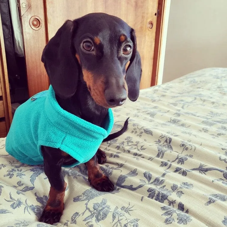 Fleece Dachshund Jacket