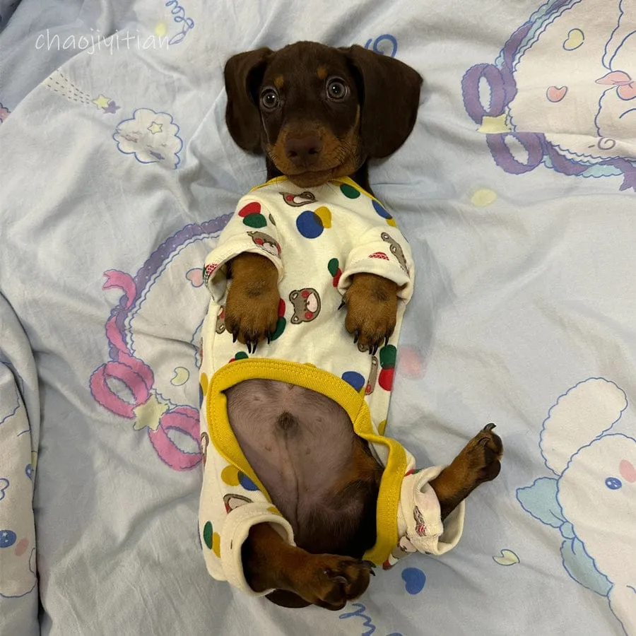 Dachshund Onesie