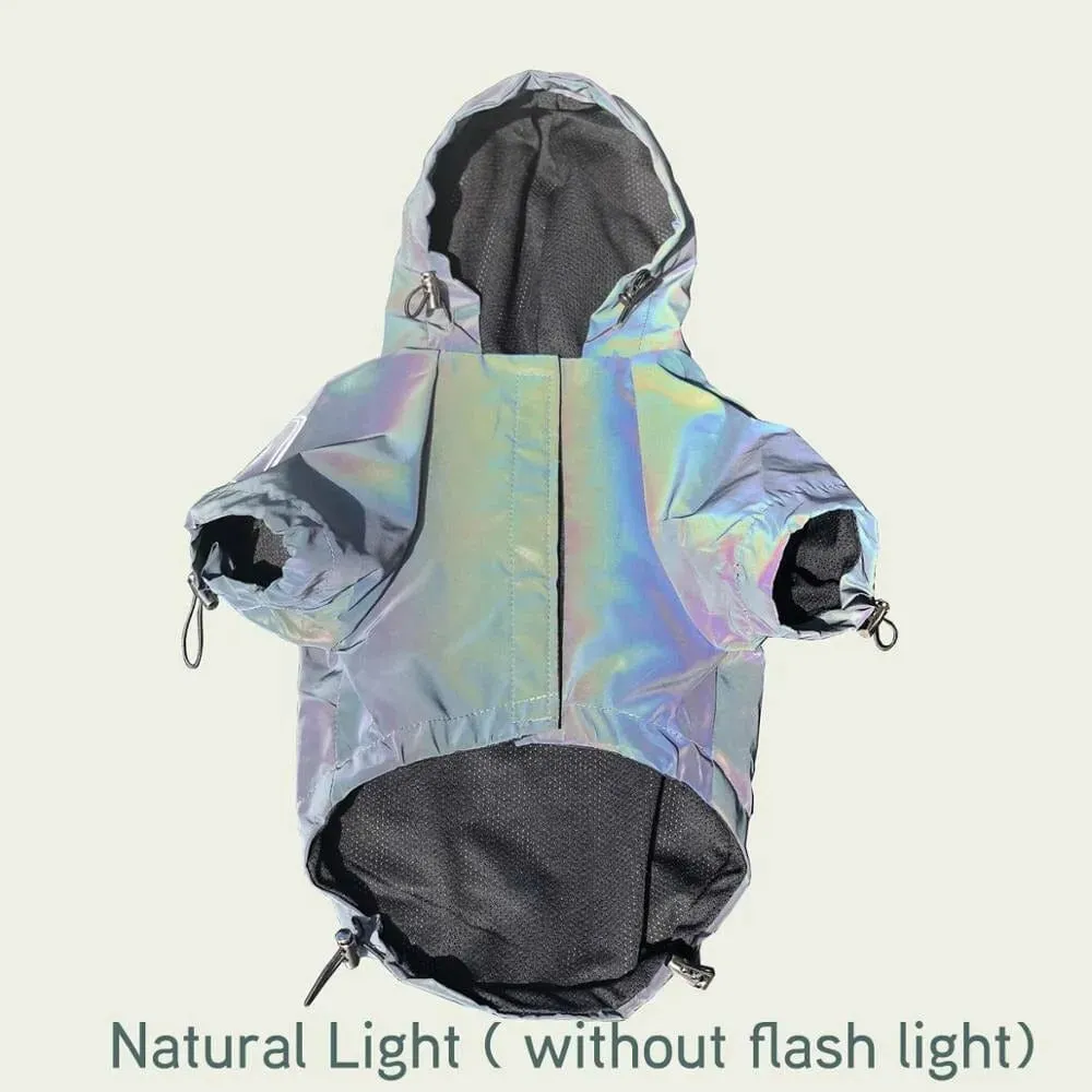 Holographic Dachshund Jacket