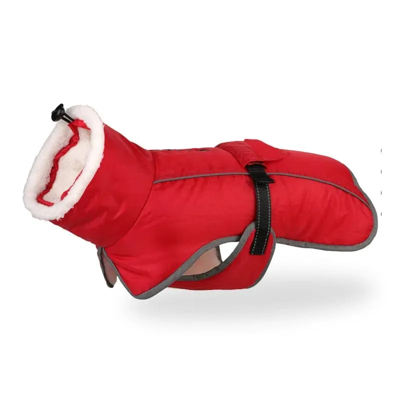 Warm Fleece Dachshund Coat
