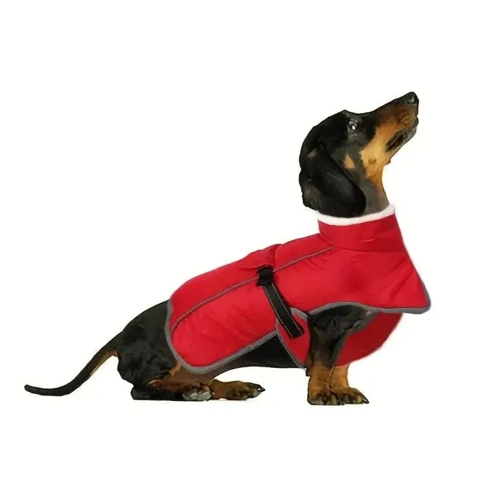 Warm Fleece Dachshund Coat