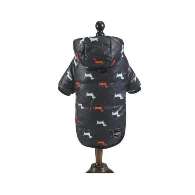 Charlie Dachshund Winter Coat