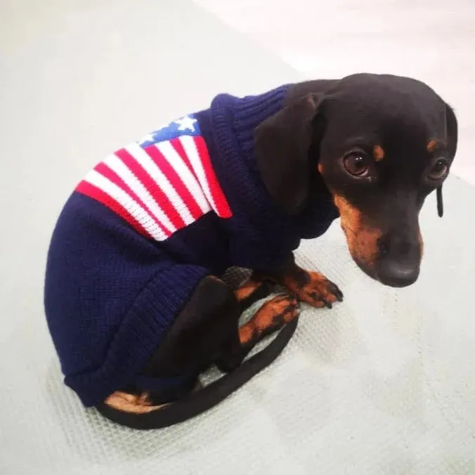American Flag Weenie Dog Sweater