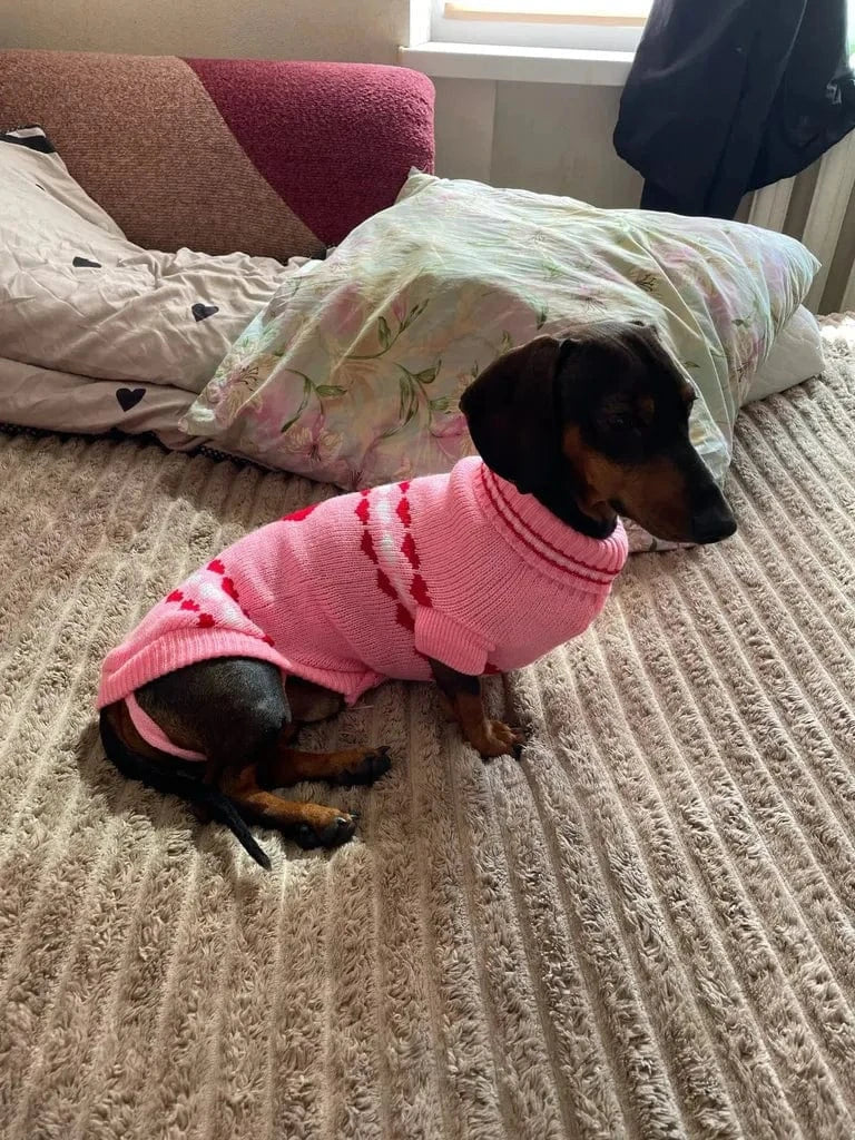 Pink Sweater for Wiener Dogs