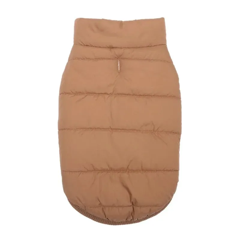 Puffer Dachshund Coat