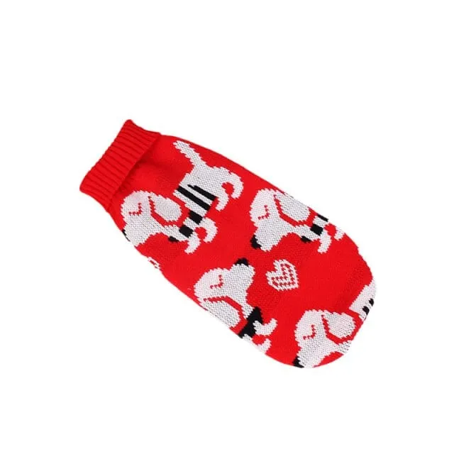 Dachshund Puppy Red Sweater