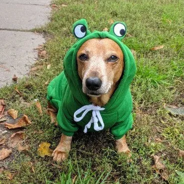 Dachshund Costumes