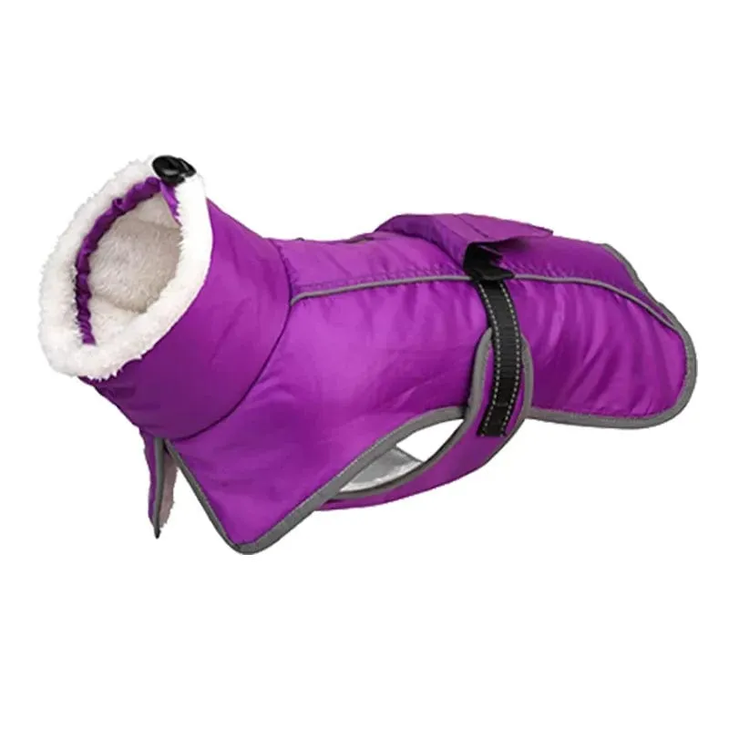Warm Fleece Dachshund Coat