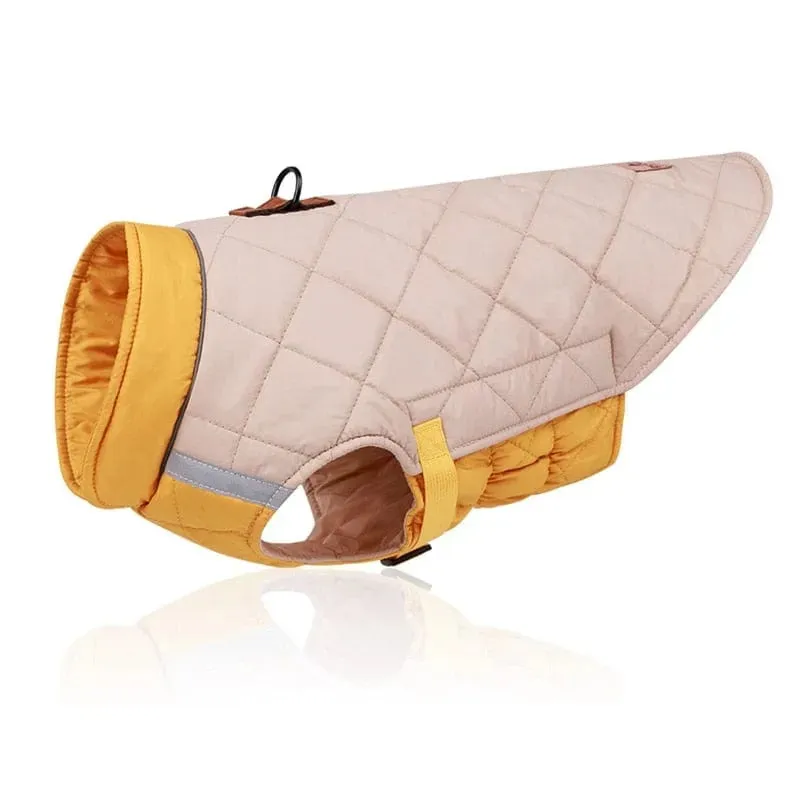 Colorblock Dachshund Jacket