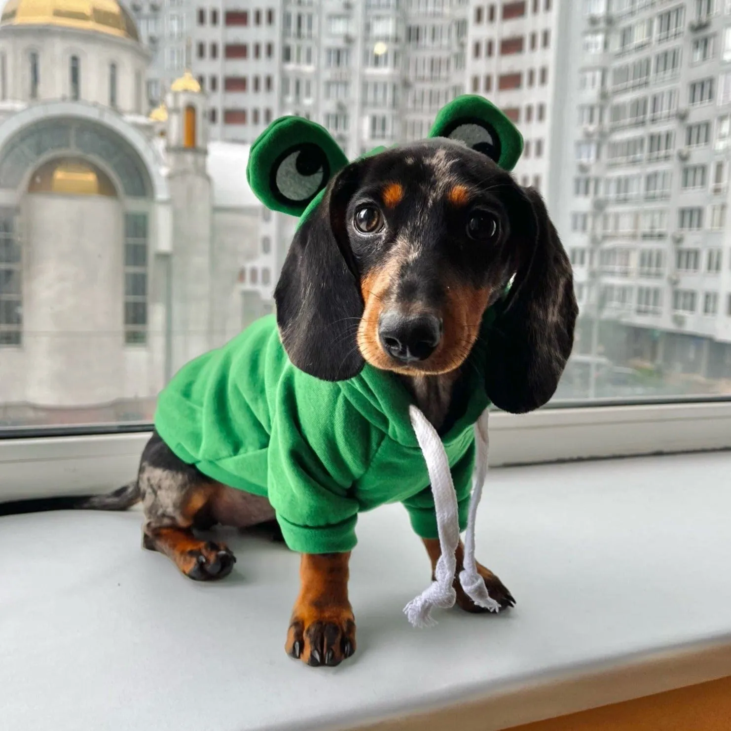 Dachshund Costumes