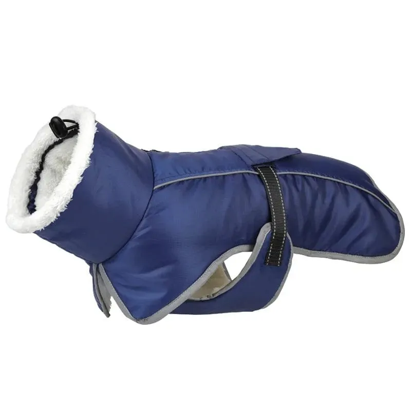 Warm Fleece Dachshund Coat