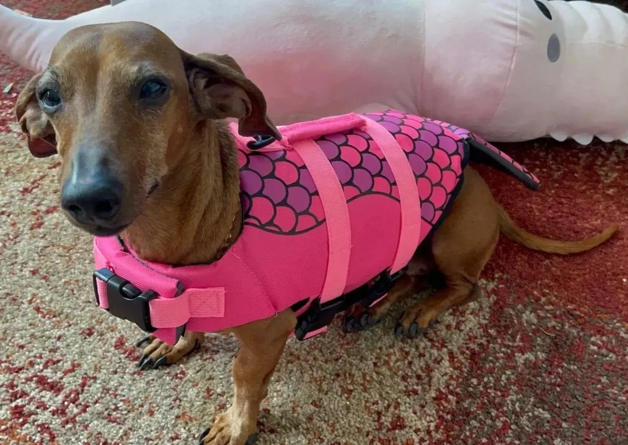 Mermaid Dachshund Life Jacket