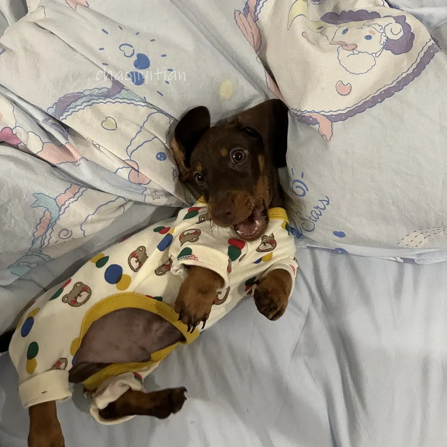 Dachshund Onesie