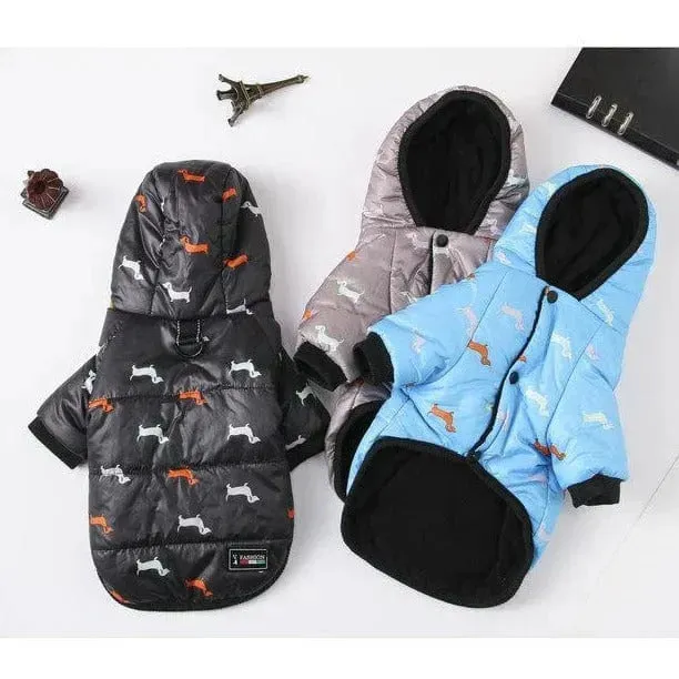 Charlie Dachshund Winter Coat