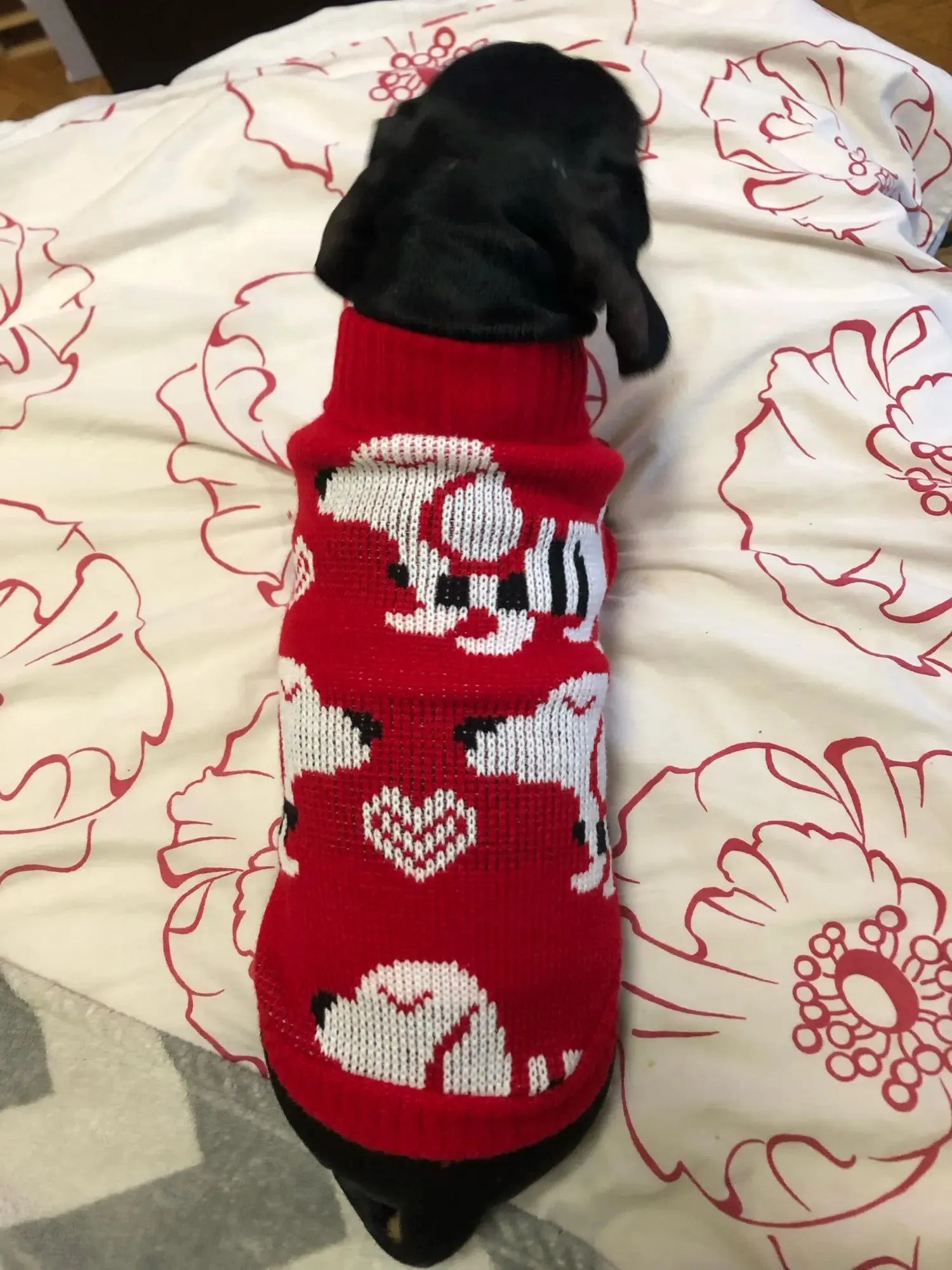 Reindeer Sweater for Sausage Dog