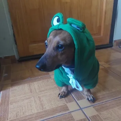Dachshund Costumes