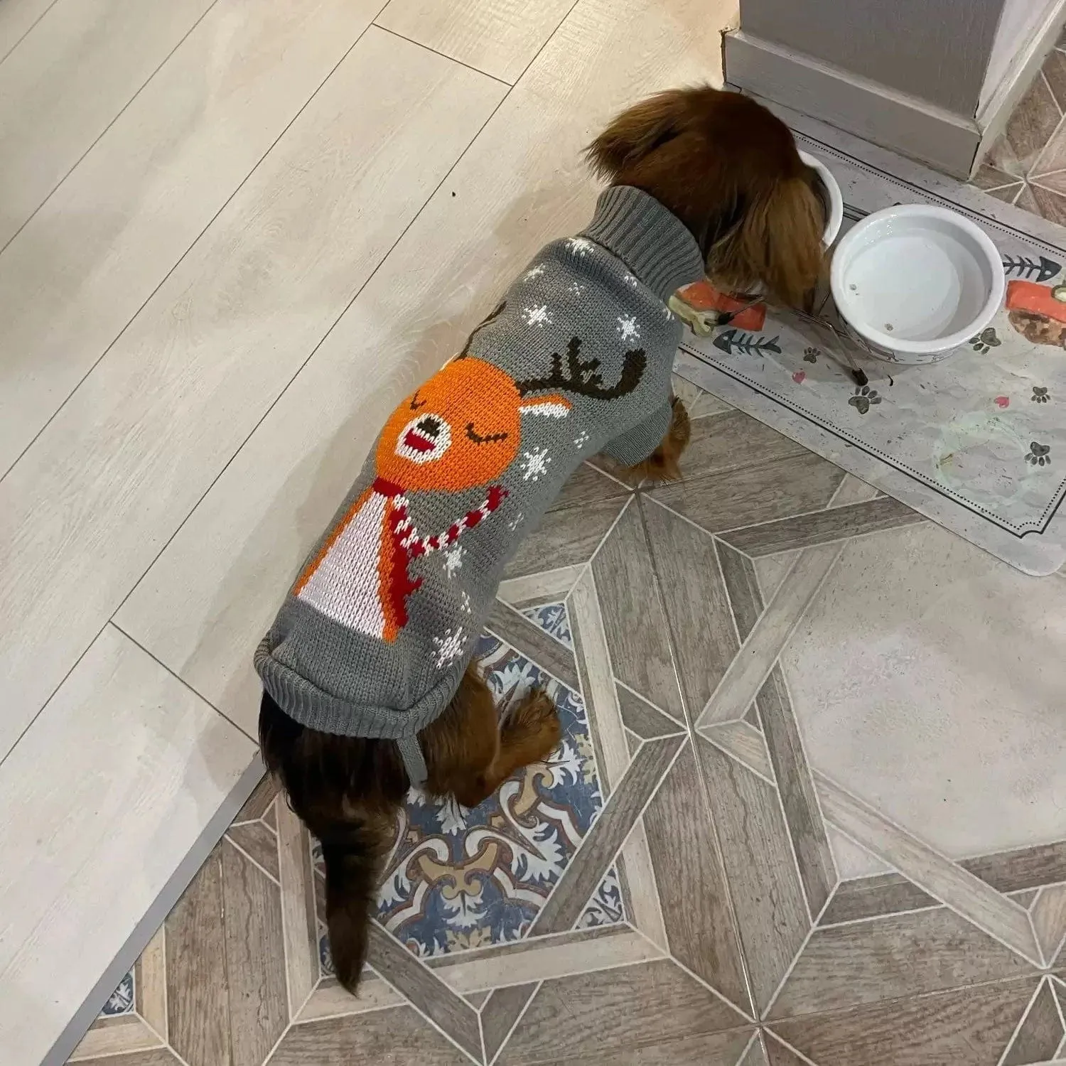 Reindeer Sweater for Sausage Dog