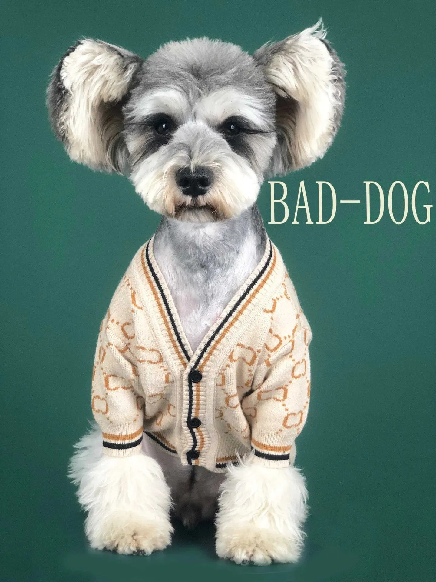 Dachshund Ducci Sweater