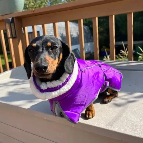 Warm Fleece Dachshund Coat
