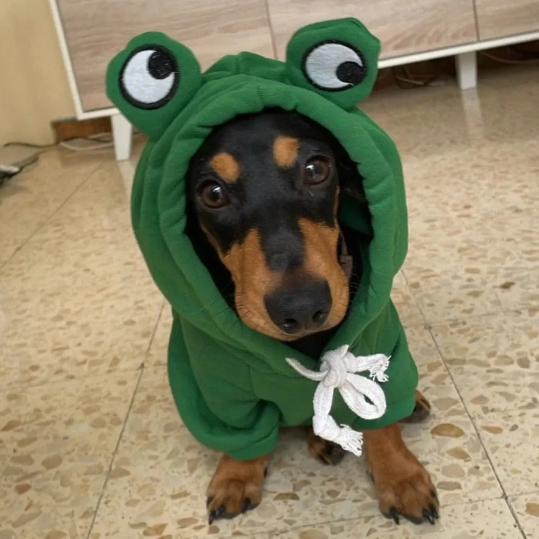 Dachshund Costumes