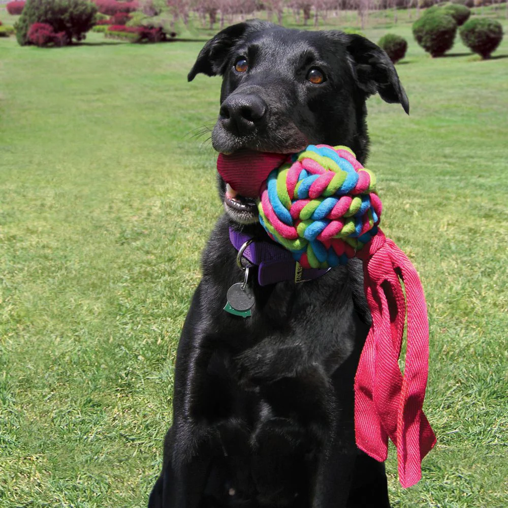Kong Wubba Weave Dog Toy
