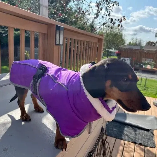 Warm Fleece Dachshund Coat