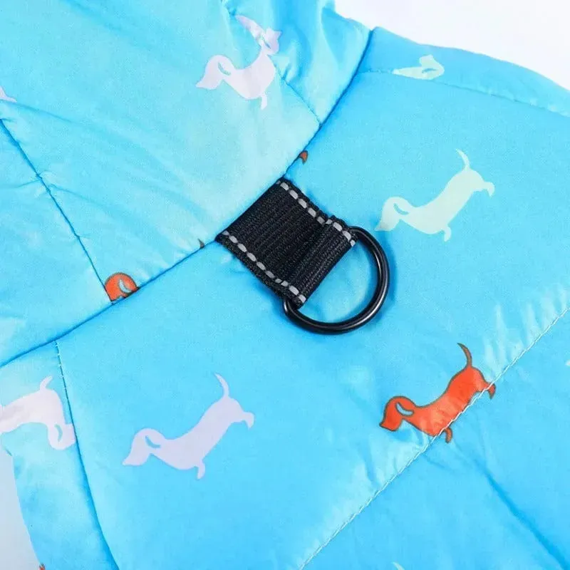 Charlie Dachshund Winter Coat