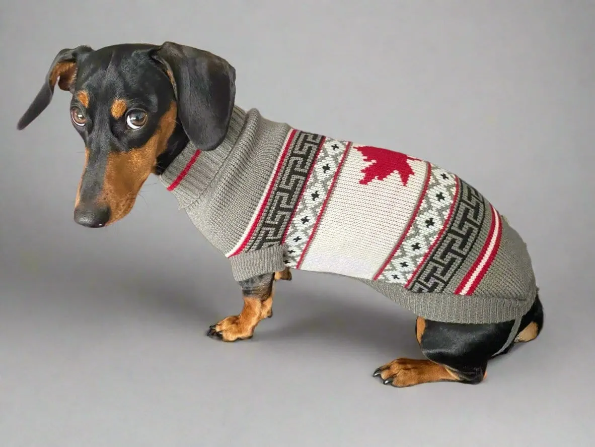 Canadian Flag Sweater for Dachshunds