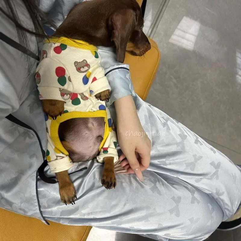 Dachshund Onesie