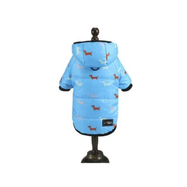 Charlie Dachshund Winter Coat