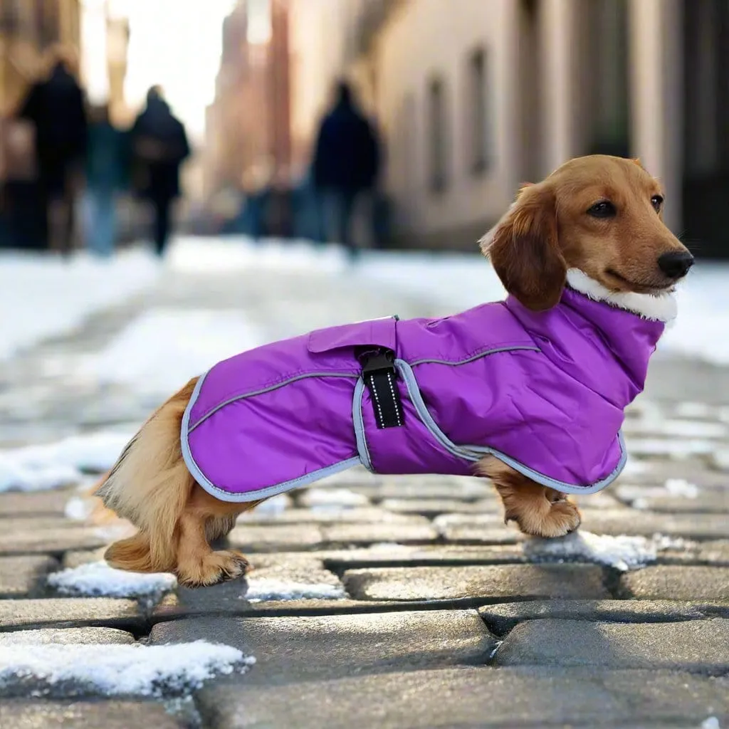 Warm Fleece Dachshund Coat